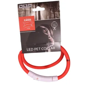 Active Canis, LED Halsband USB, Röd