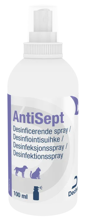 AntiSept Klorhexidin Spray 100 ml