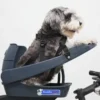 Buddyrider 2, Cykelstol för hundar