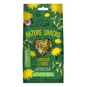 Burgess Excel Nature Snacks Lucious Leaves, 60g