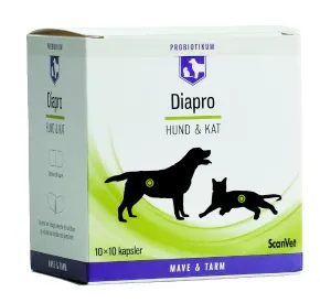 Diapro kapslar 100 st.