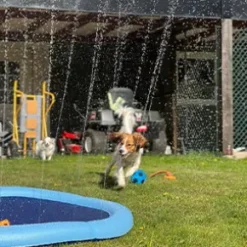 Dogman Fontänmatta