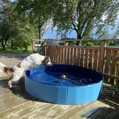 Dogman hundpool
