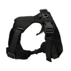 Dogman Y-Sele Justerbar, Sport, Svart
