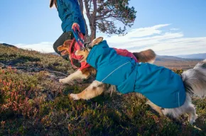 Hurtta Expedition Parka II, Grå
