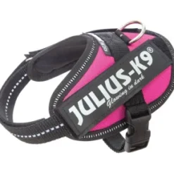 Julius K9 IDC sele, Baby 2