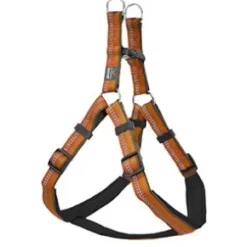 Kennel Equip Dog Harness. Hundsele, Orange