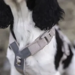 Non-Stop Dogwear Trekking line harness CLIP'N, Blue