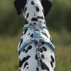 Non-Stop Dogwear Trekking line harness CLIP'N, Blue