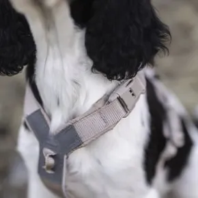Non-Stop Dogwear Trekking line harness CLIP'N Sand