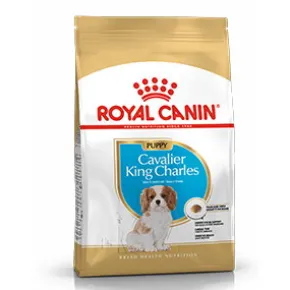Royal Canin Cavalier King Charles Puppy 1,5 kg