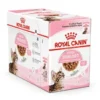 Royal Canin Kitten Sterilised Gravy Våtfoder, 12x85g
