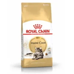 Royal Canin Maine Coon Adult Cat