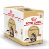 Royal Canin Maine Coon Adult Cat, 12x85 g, Våtfoder