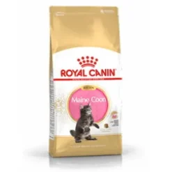 Royal Canin Maine Coon Kitten