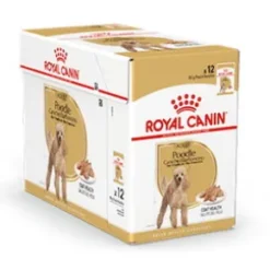 Royal Canin Poodle Adult 12x85g, våtfoder