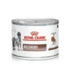 Royal Canin Recovery Dog/Cat- Återhämtning, 195g