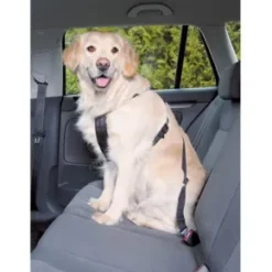 Säkerhetsbälte för hund