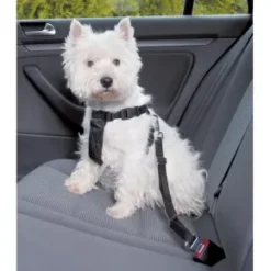 Säkerhetsbälte för hund