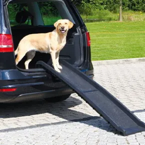 Trixie Petwalk, Hundramp till bil, 40x156cm
