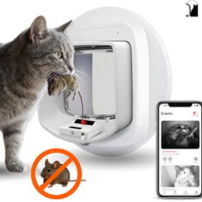 ZeroMouse 2.0. Smart Prey Detection For Cat Flaps